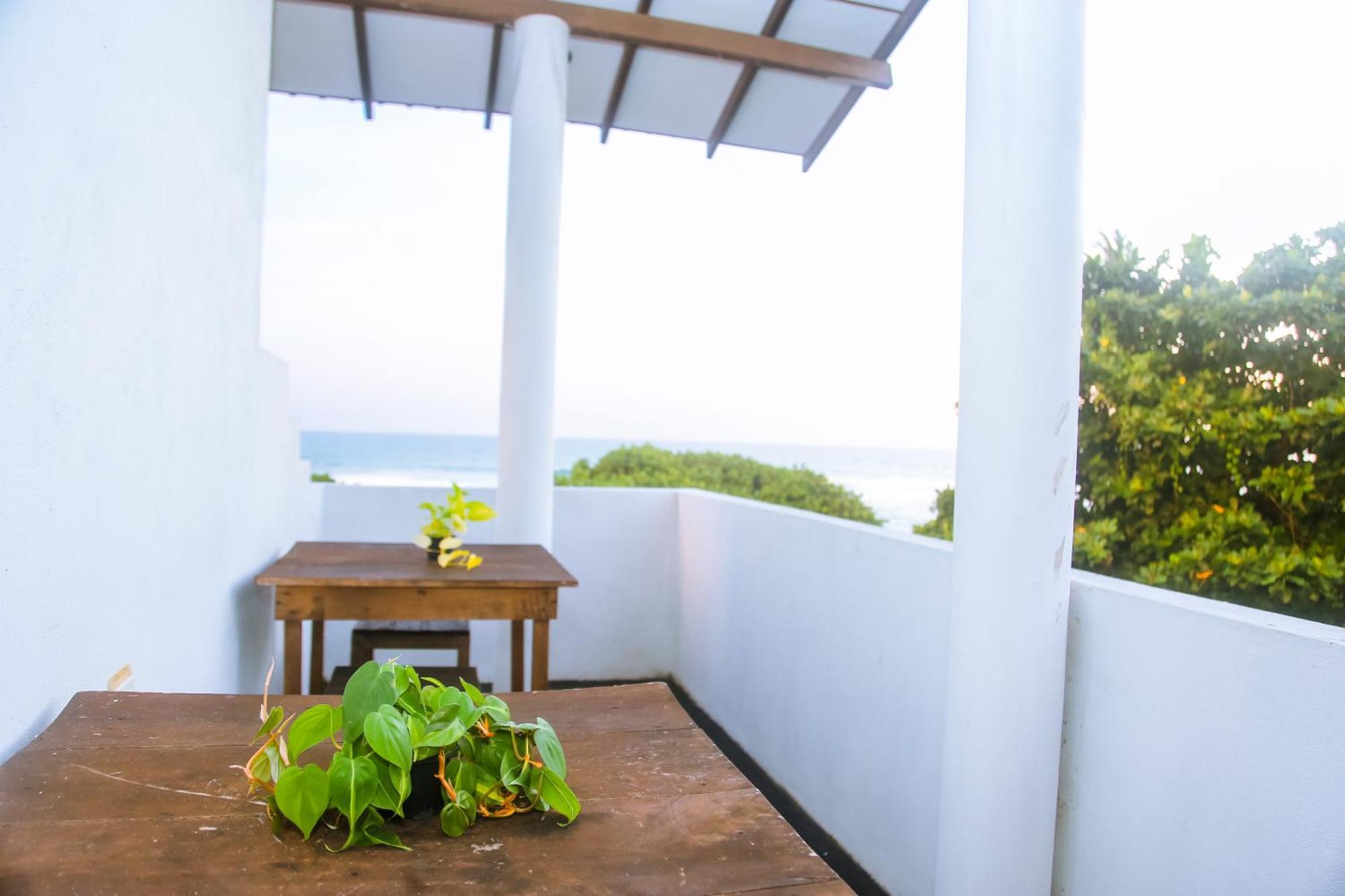 Mirissa Turtle Point Guest酒店 外观 照片