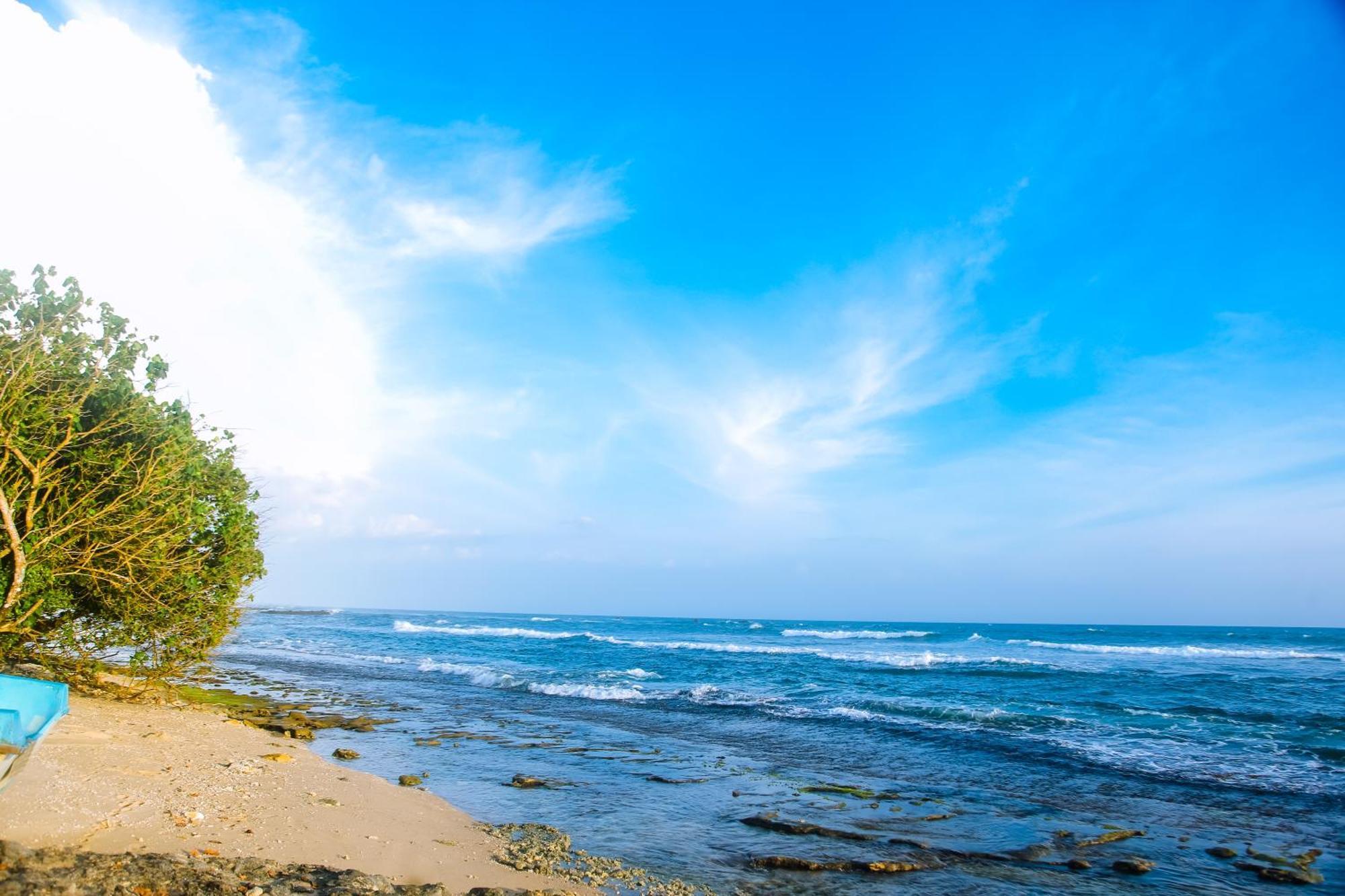 Mirissa Turtle Point Guest酒店 外观 照片